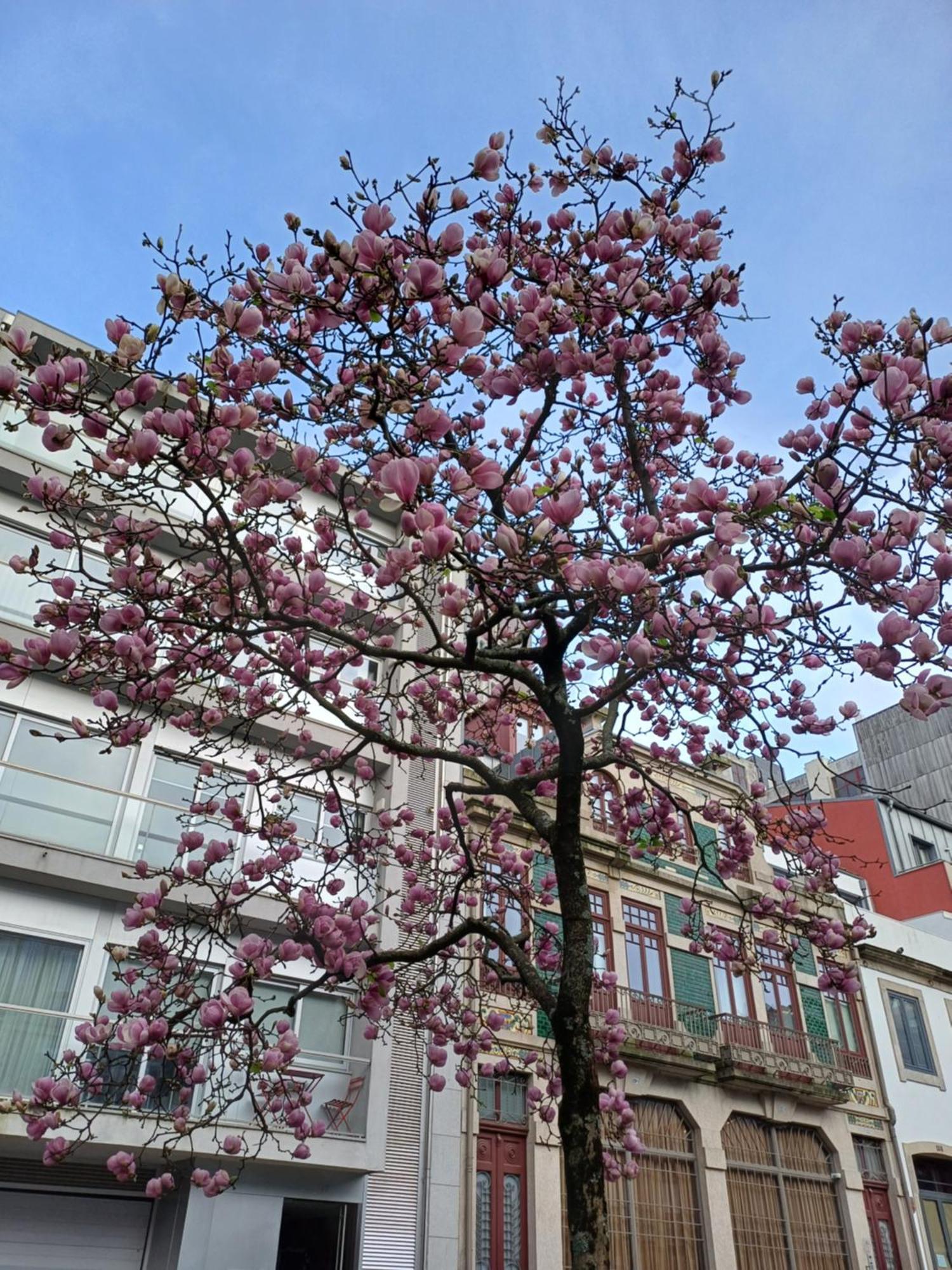 Appartement Otf- Centro *